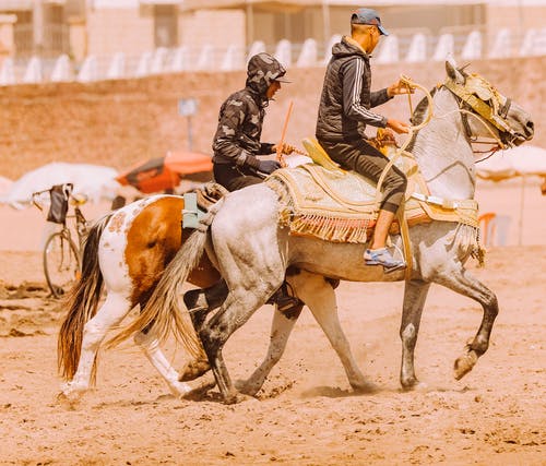 两个骑着马的骑士 · 免费素材图片