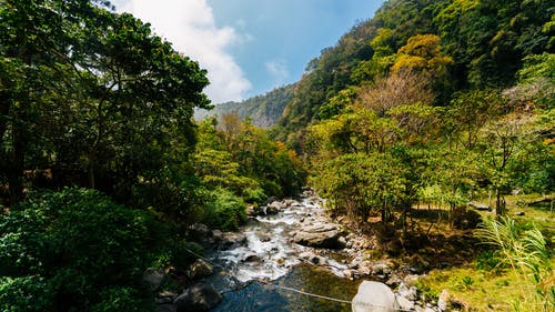 树间河 · 免费素材图片