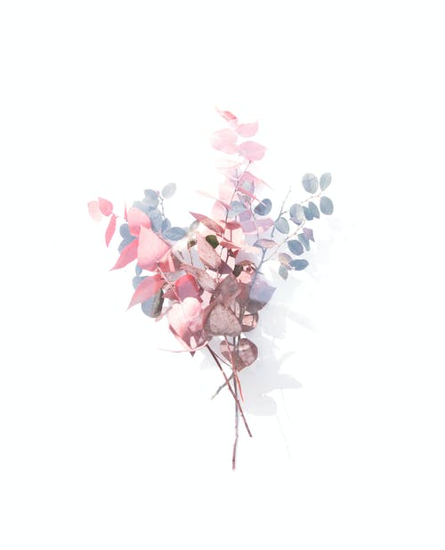 粉色，灰色和白色的花瓣花朵剪贴画 · 免费素材图片
