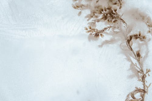 花白色纺织 · 免费素材图片