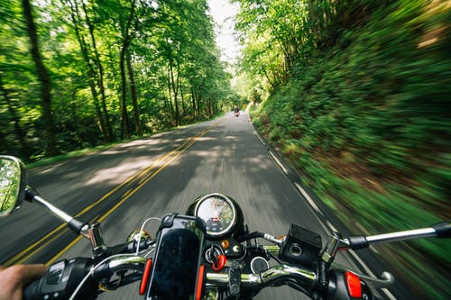 在树之间的道路上骑摩托车的人的照片 · 免费素材图片