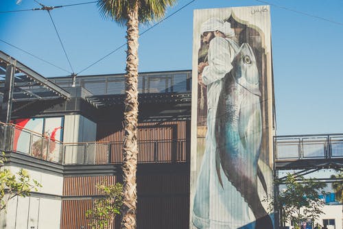 鱼招牌 · 免费素材图片