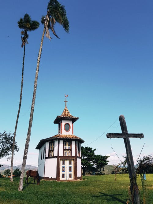 马站在教堂大楼附近 · 免费素材图片