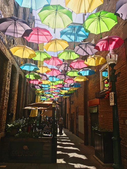 彩色雨伞挂的照片 · 免费素材图片