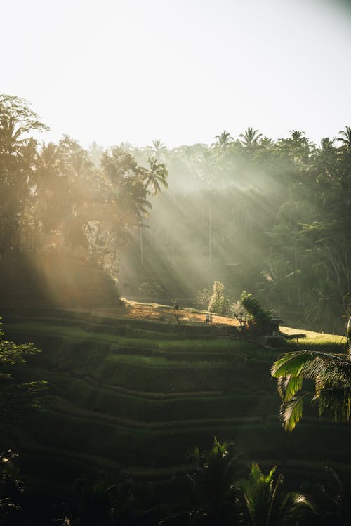 草地观 · 免费素材图片