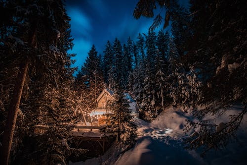 冰冷的松树和谷仓房子在晚上的视图 · 免费素材图片