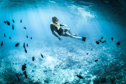 浮潜人士的照片 · 免费素材图片