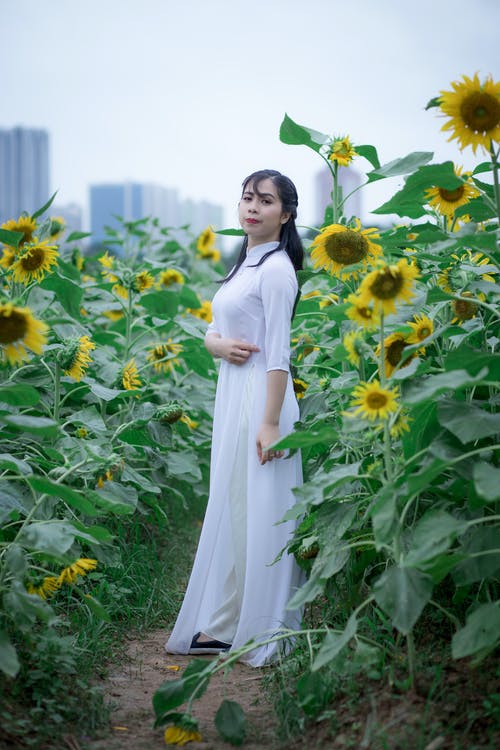 女人的侧视图照片穿着白色连衣裙站在向日葵田中 · 免费素材图片