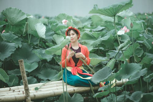 坐在植物附近的红色外套的女人 · 免费素材图片