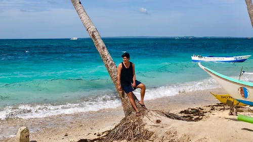 男子斜倚在椰子树上 · 免费素材图片