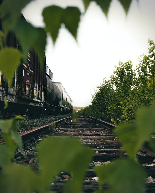 除绿色植物外的棕色火车铁路照片 · 免费素材图片