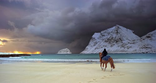 人骑匹棕色的马 · 免费素材图片