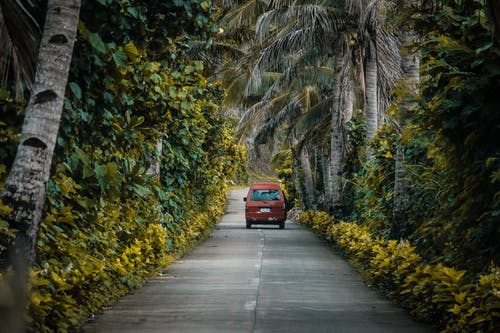 树木环绕的道路照片 · 免费素材图片