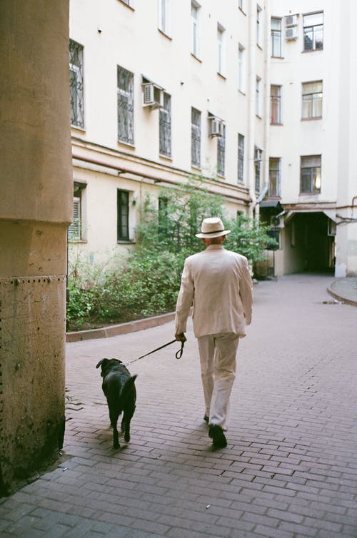 身穿白色西服和狗散步的人 · 免费素材图片