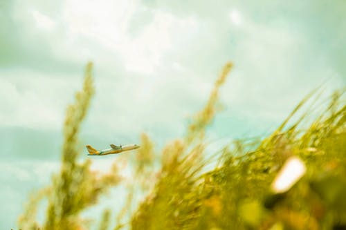 飞机飞过绿草 · 免费素材图片