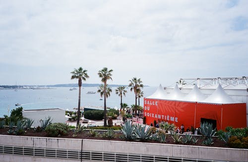 白天在海湾的建筑物和棕榈树 · 免费素材图片