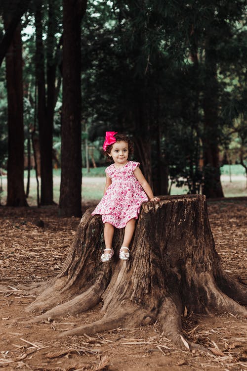 可爱的小女孩，穿着粉红色的花裙子，坐在树桩上的照片 · 免费素材图片
