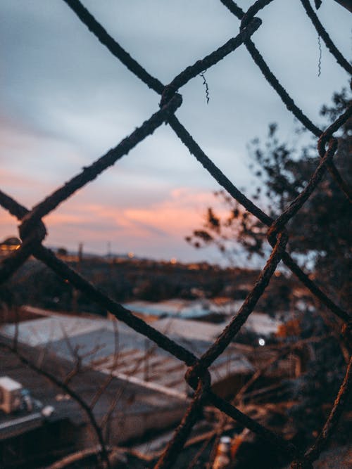 丝网的特写照片 · 免费素材图片