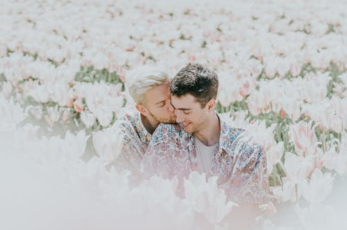 两个男人坐在粉红色的花田 · 免费素材图片