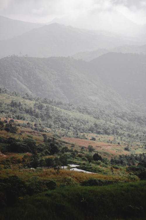 树木和山脉的风景摄影 · 免费素材图片