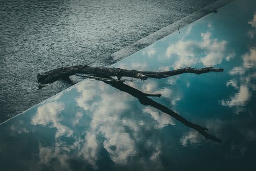 黑色浮木 · 免费素材图片