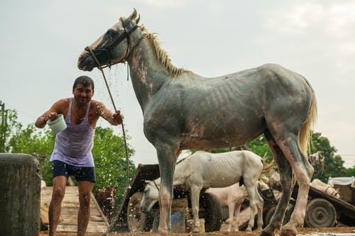 人与马站 · 免费素材图片