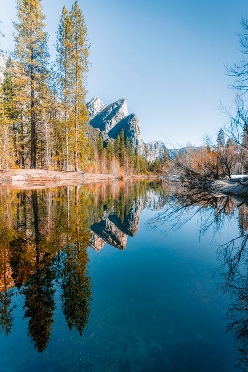 水体附近的森林 · 免费素材图片