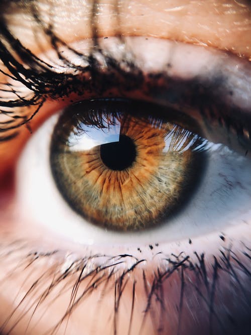 人类的眼睛 · 免费素材图片