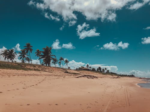 棕壤 · 免费素材图片