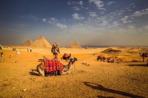 骆驼在金字塔遗址 · 免费素材图片