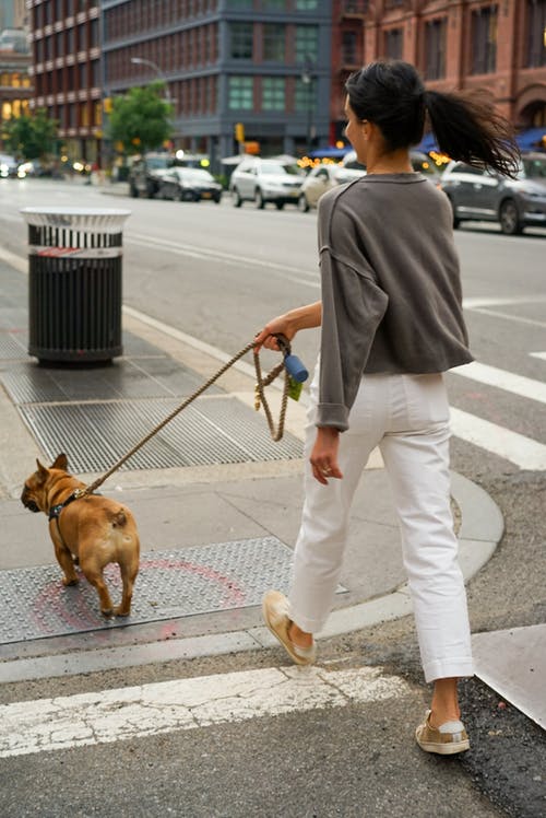 女人穿着白裤walking狗 · 免费素材图片
