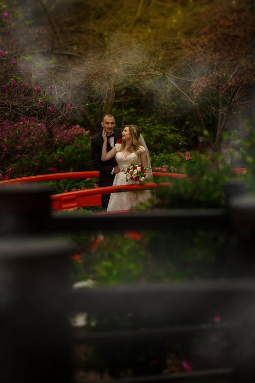 新娘和新郎在桥上 · 免费素材图片