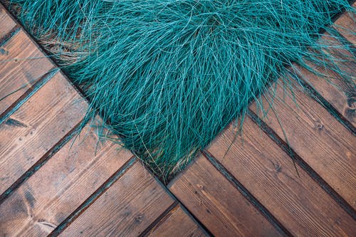 棕色木地板上的绿草 · 免费素材图片