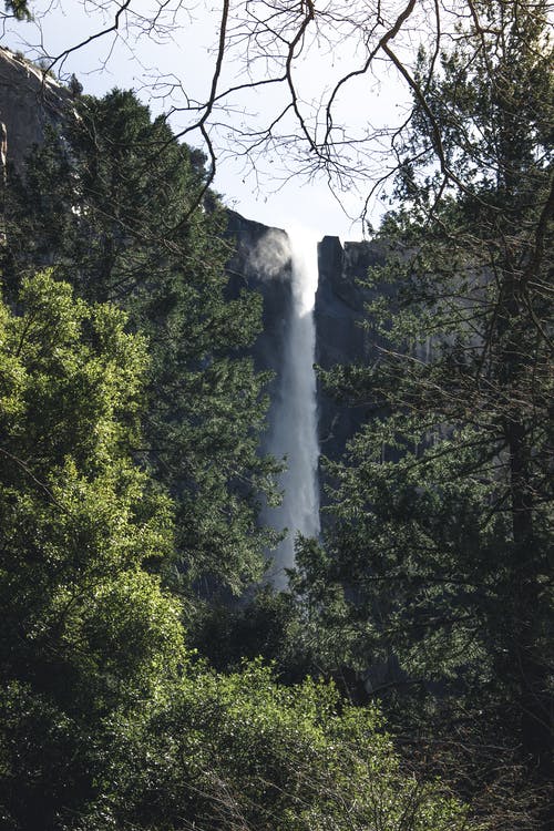 低角度拍摄的绿树旁的瀑布 · 免费素材图片