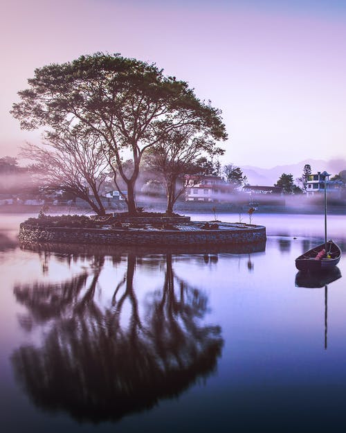 绿叶树在被水包围的公园 · 免费素材图片