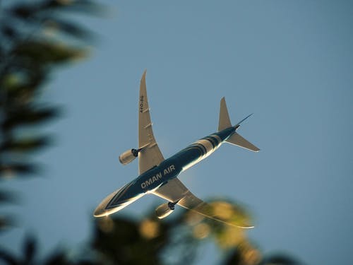 空中的蓝色和白色飞机 · 免费素材图片