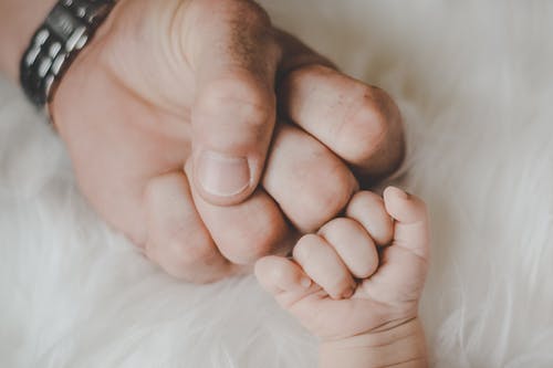 父亲和婴儿的拳头 · 免费素材图片