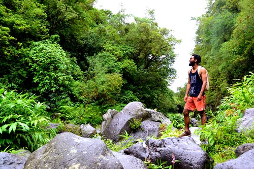 男子站在树木附近的岩石上的照片 · 免费素材图片