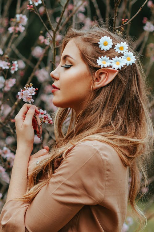 尖的耳朵和雏菊在她的头发，拿着樱花支站在樱花旁边的女人的侧视图照片 · 免费素材图片