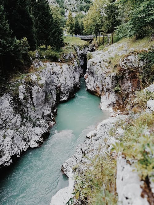 河在树附近的高角度照片 · 免费素材图片