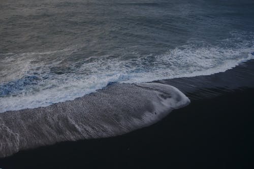 海滨聚焦摄影 · 免费素材图片
