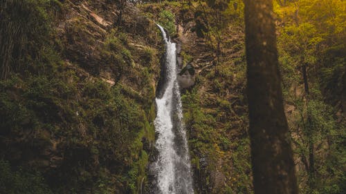 在森林里的瀑布景观照片 · 免费素材图片