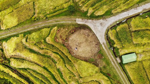 绿草地 · 免费素材图片