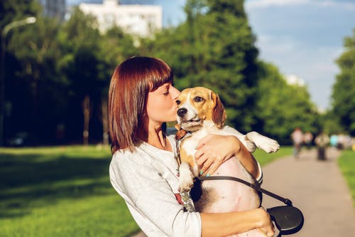 女人携带它亲吻狗的选择性焦点侧视图照片 · 免费素材图片