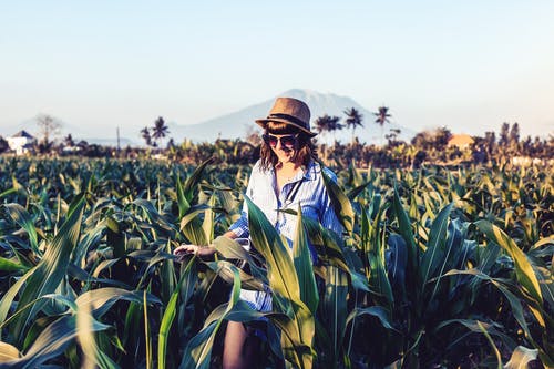 走在玉米田的微笑妇女的照片 · 免费素材图片