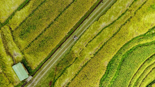 绿地 · 免费素材图片