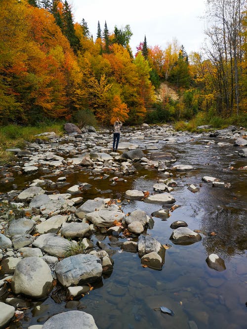穿蓝色裤子的人站立在横跨绿色和橙树的岩石上 · 免费素材图片