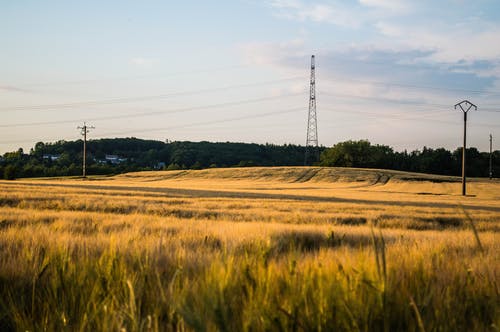 绿草地 · 免费素材图片