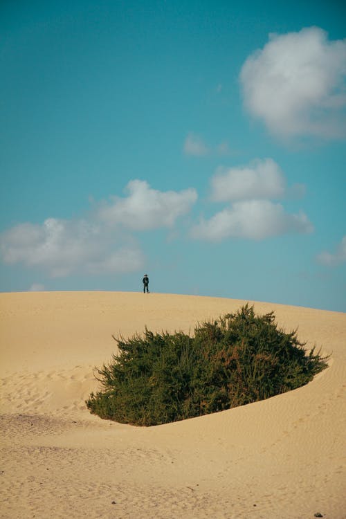 男子站在沙丘上 · 免费素材图片