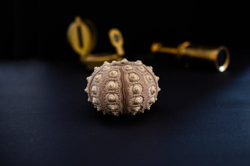 圆形棕色配件特写摄影 · 免费素材图片